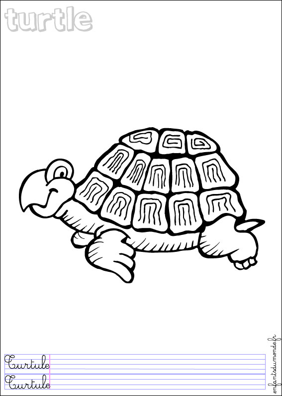 coloriage tortue 2